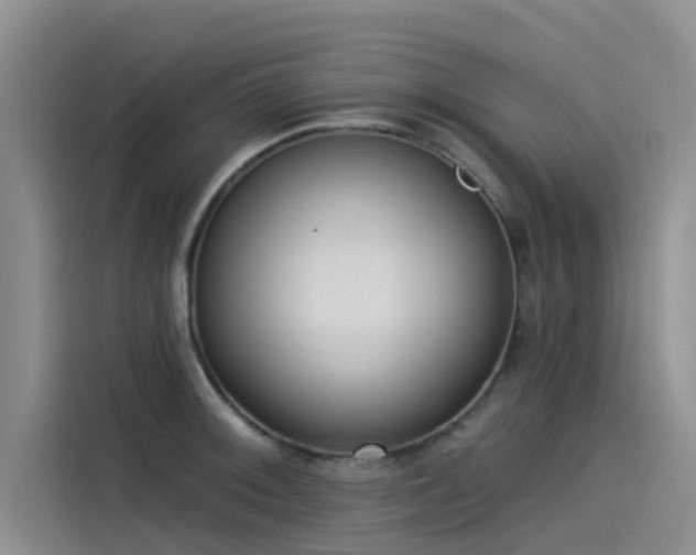 X0000115231092200911061122