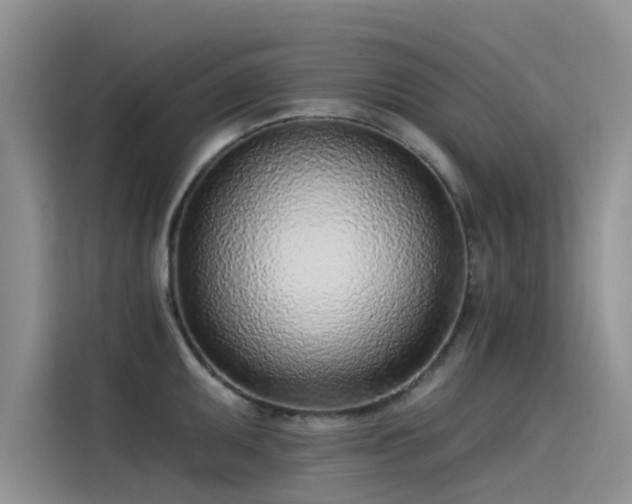X0000115231095200911061122