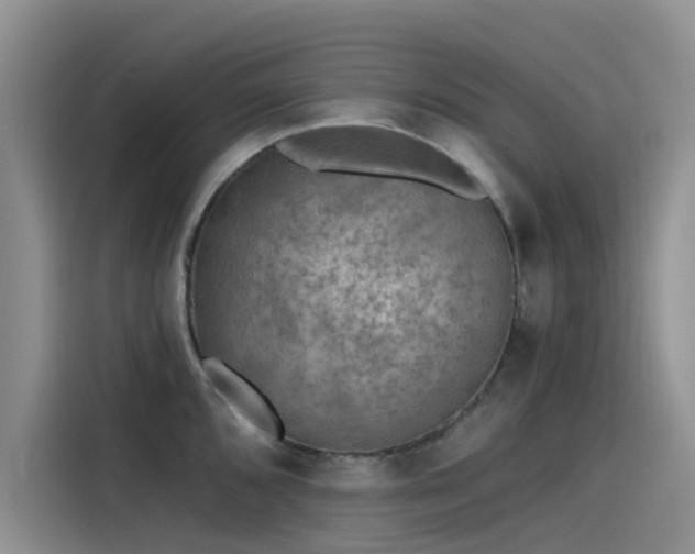X0000115231096200911061122