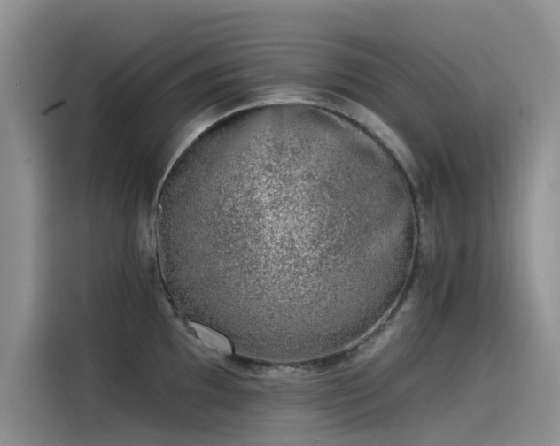X0000115231097200911061122