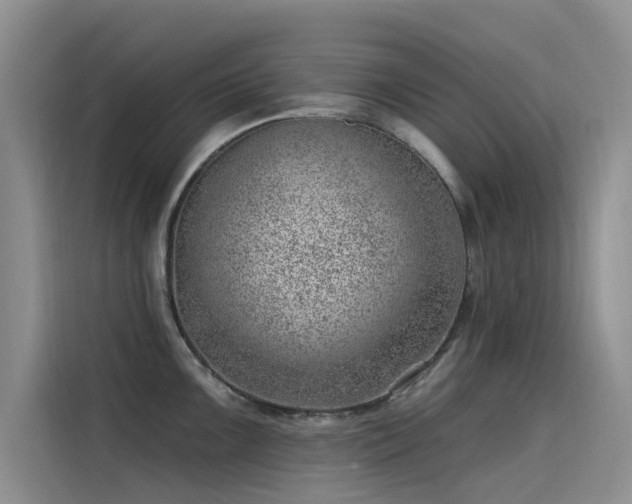 X0000115231099200911061122