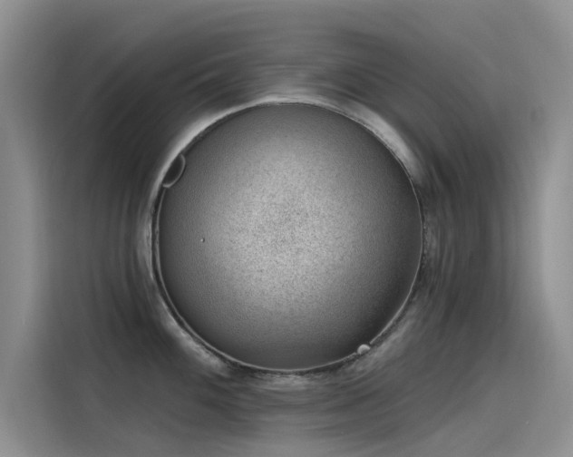 X0000115231100200911061122