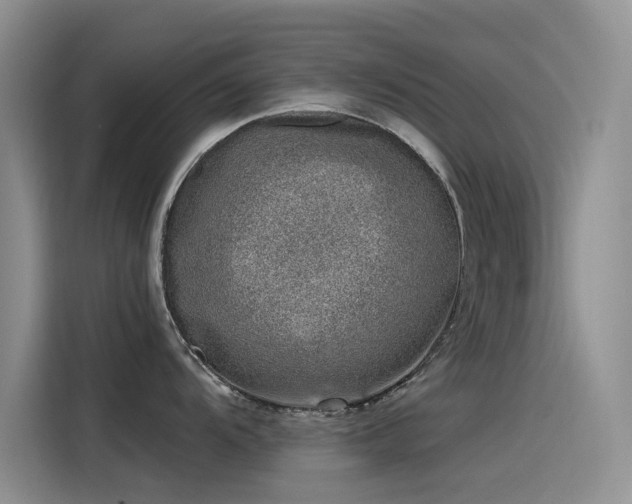 X0000115231104200911061122