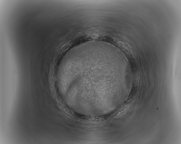 X0000115231105200911061122