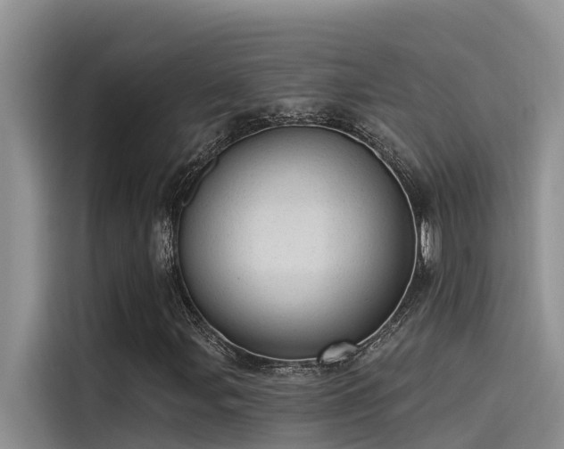 X0000115231107200911061122