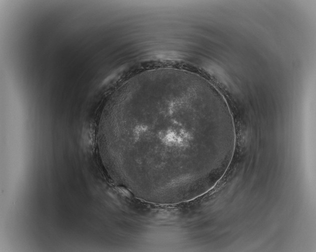 X0000115231110200911061122