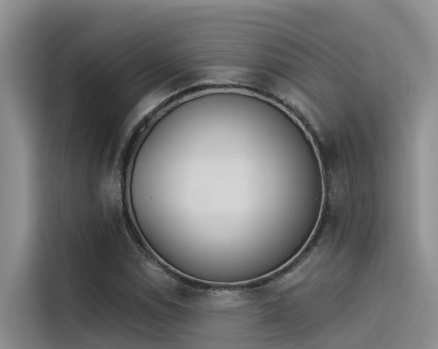 X0000115231114200911061122