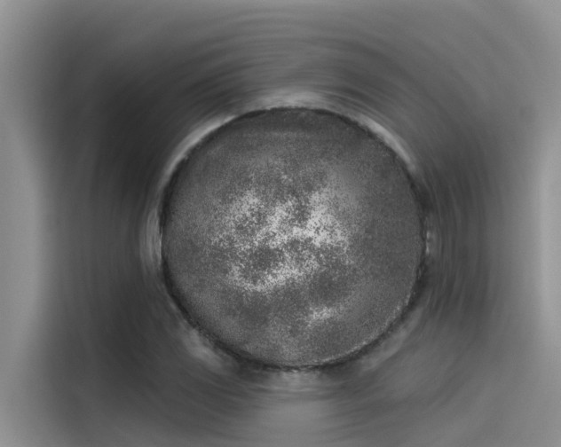 X0000115231117200911061122