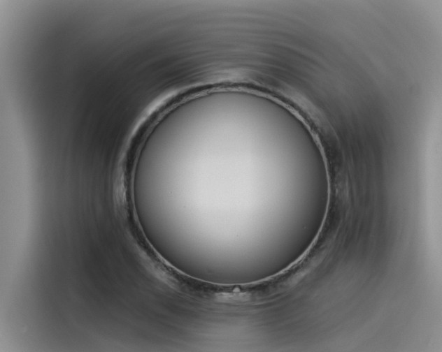 X0000115231118200911061122