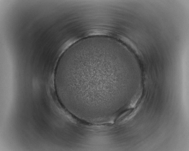 X0000115231121200911061122