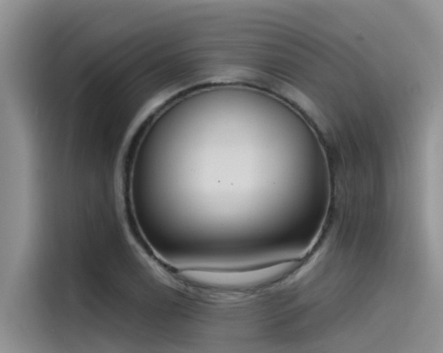 X0000115231122200911061122