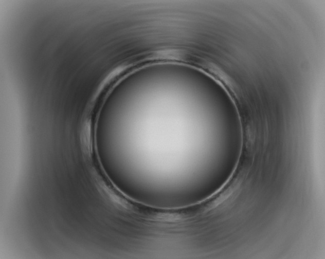 X0000115231123200911061122