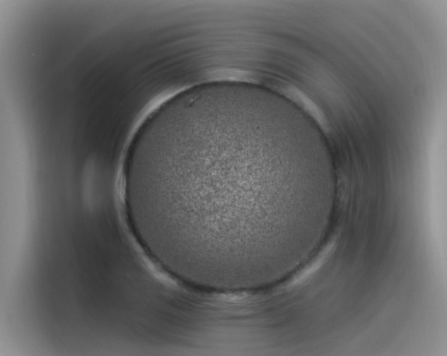 X0000115231125200911061122