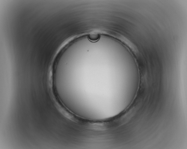 X0000115231126200911061122