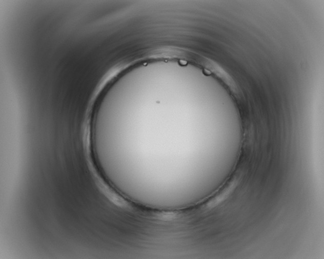 X0000115231130200911061122