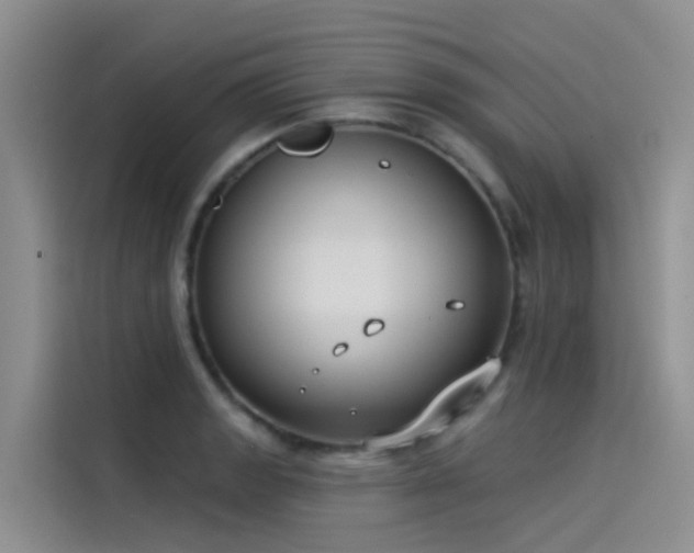 X0000115231133200911061122