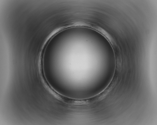 X0000115231142200911061122