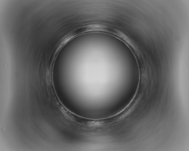 X0000115231145200911061122