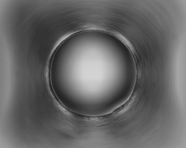 X0000115231149200911061122