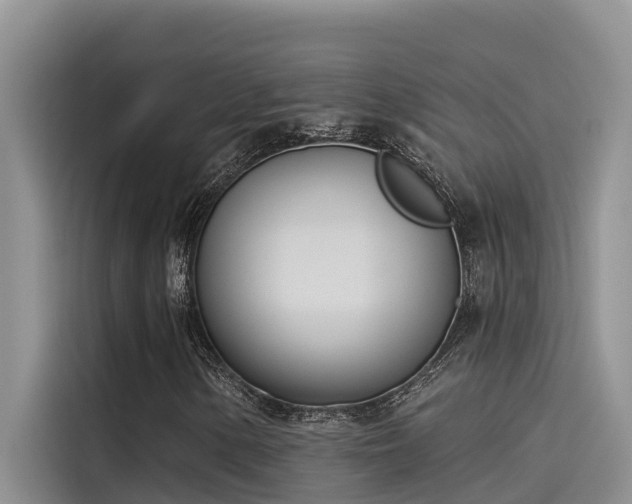 X0000115231154200911061121