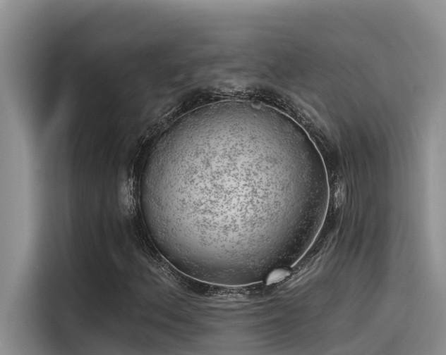 X0000115231156200911061121
