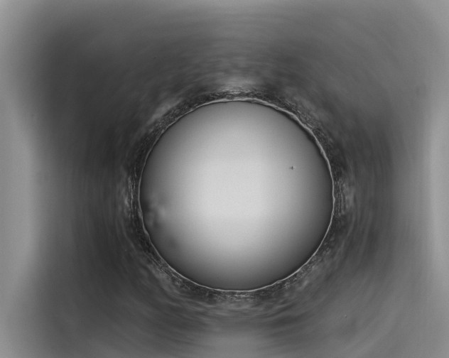 X0000115231158200911061121