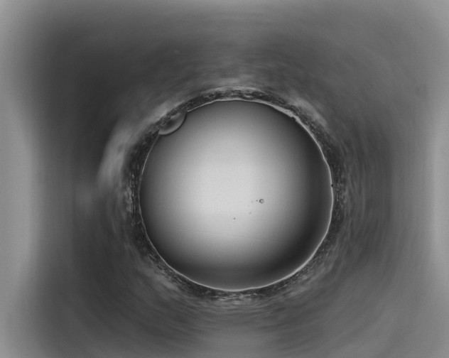 X0000115231159200911061121