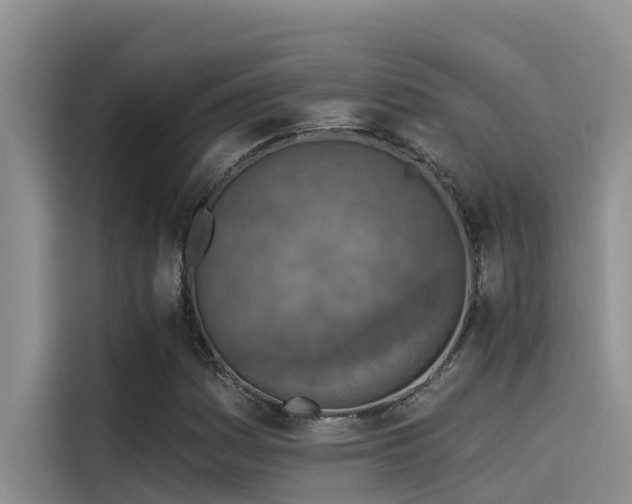 X0000115231161200911061121