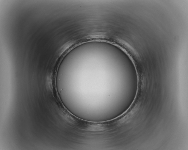 X0000115231162200911061121