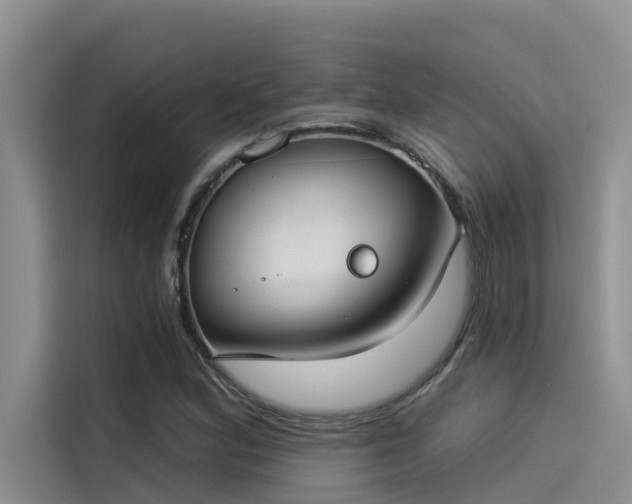 X0000115231164200911061121