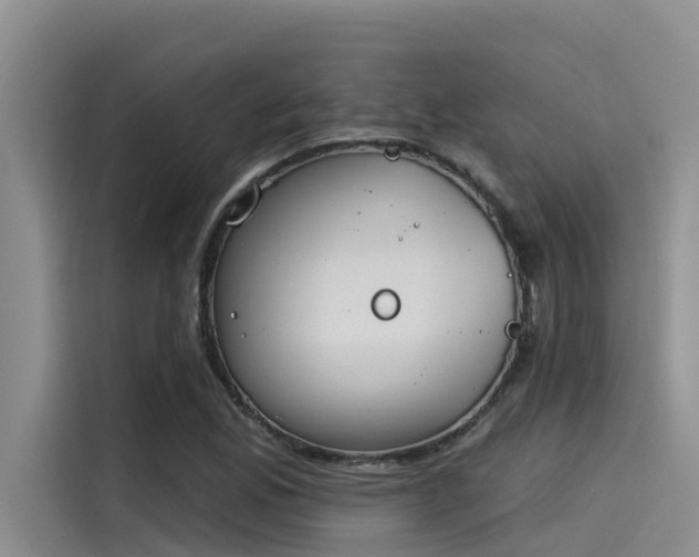 X0000115231165200911061121