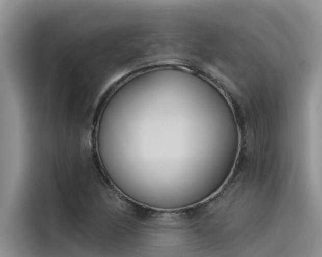 X0000115231166200911061121