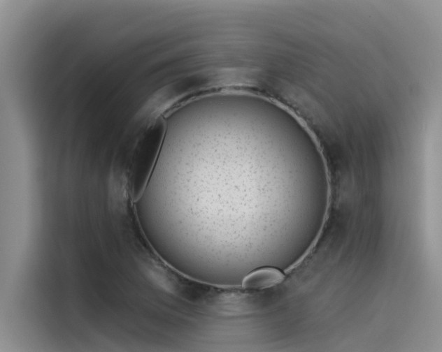 X0000115231169200911061121
