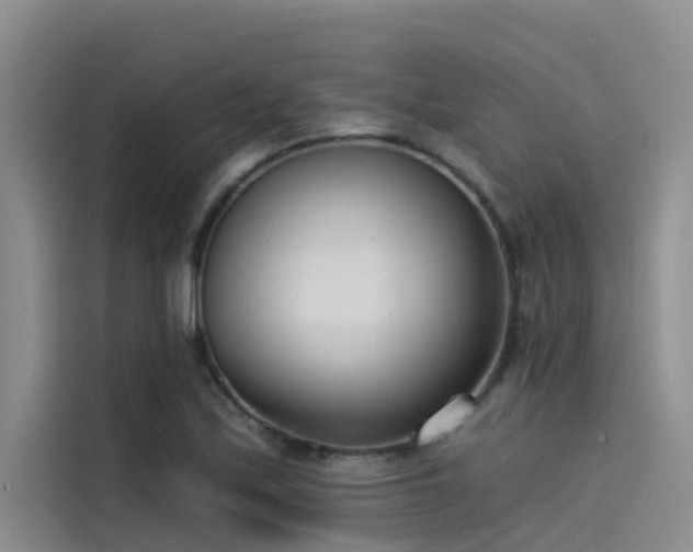 X0000115231171200911061121