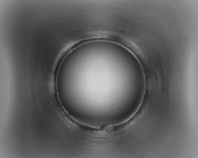 X0000115231172200911061121
