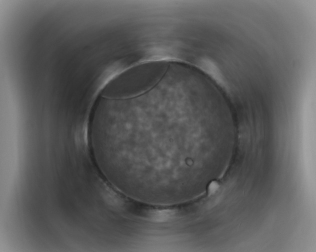 X0000115231173200911061121