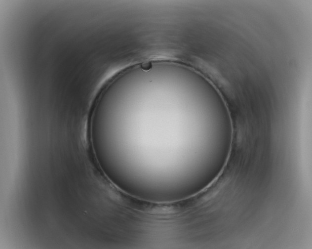 X0000115231174200911061121