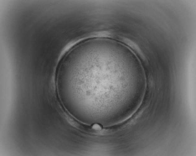 X0000115231176200911061121