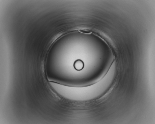 X0000115231177200911061121