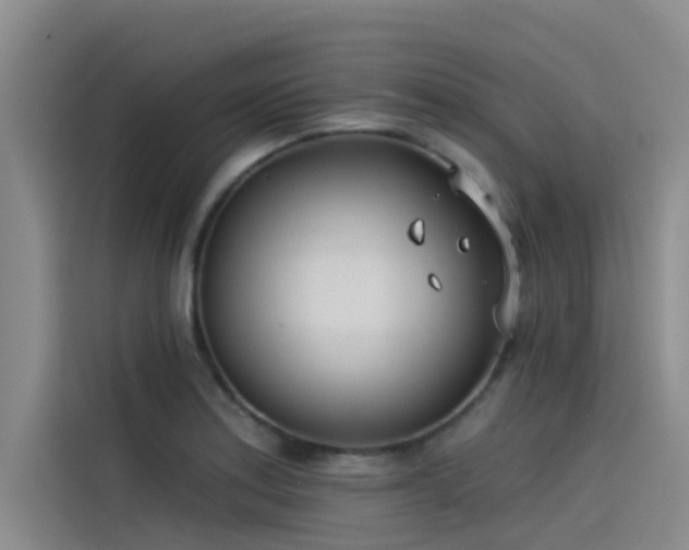 X0000115231179200911061121