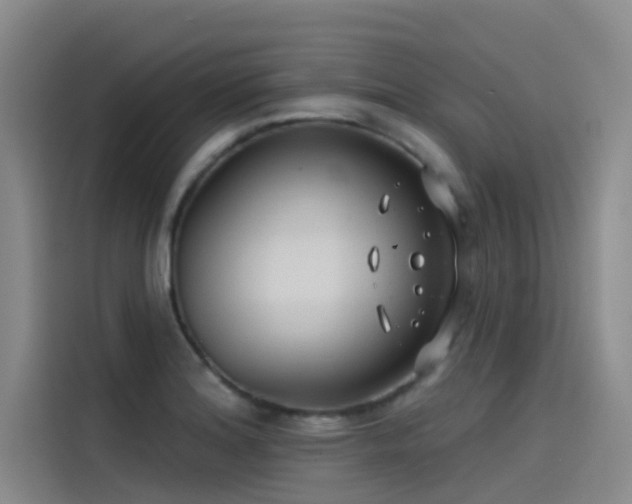 X0000115231180200911061121