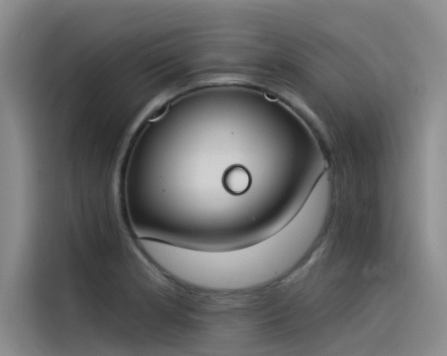 X0000115231181200911061121