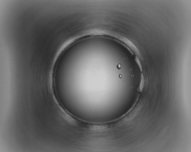 X0000115231183200911061121