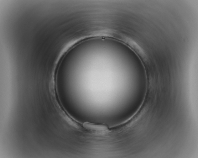 X0000115231184200911061121