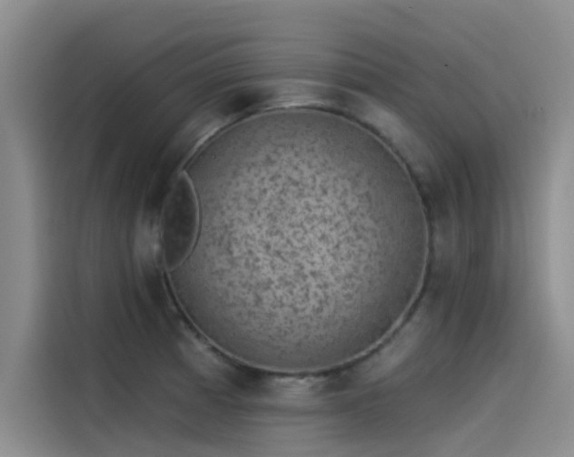X0000115231185200911061121