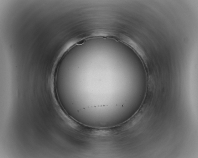 X0000115231187200911061121