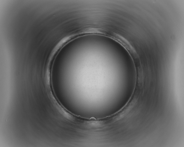 X0000115231188200911061121