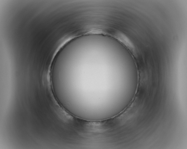 X0000115231190200911061121