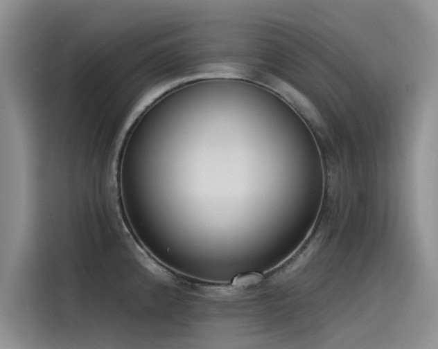X0000115231192200911061121