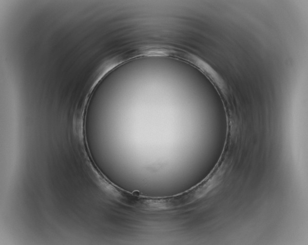 X0000115231194200911061121